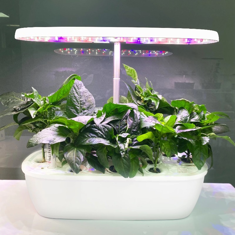 Smart Garden Design - نظام حديقة هيدروبونية ذكي إلكتروني داخلي