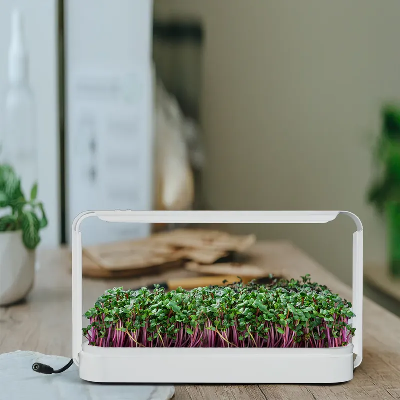 حديقة أعشاب داخلية مع إضاءة لل - مراجعة Smart Garden Ideas وسعره