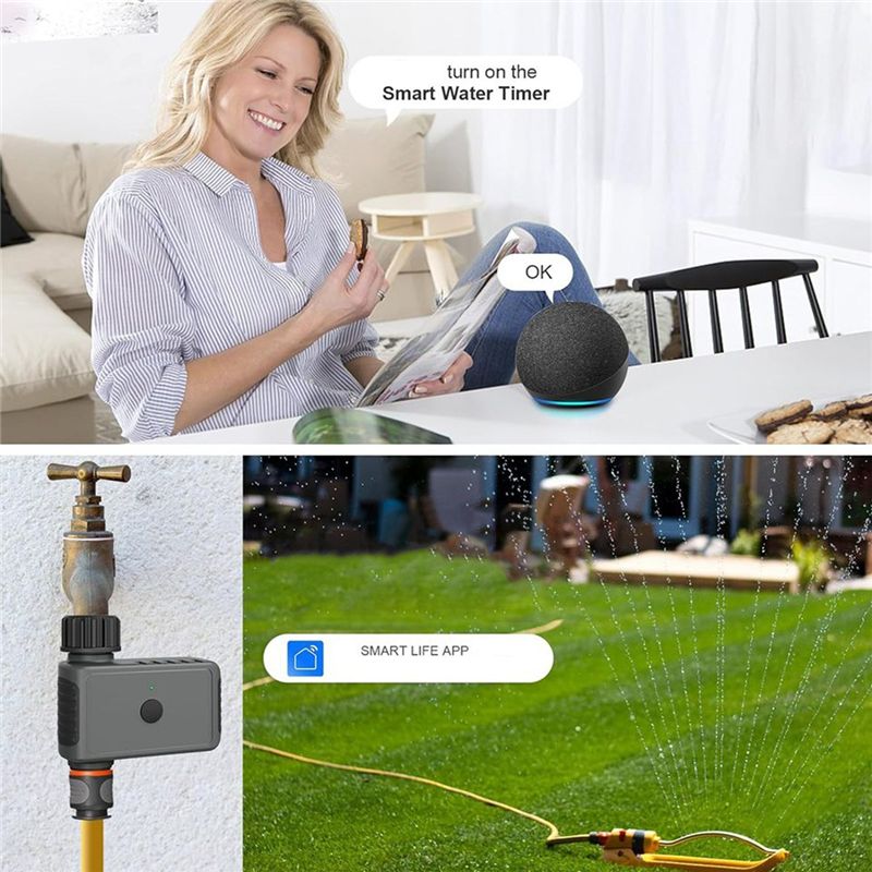 ~WISH التلقائي الرش الموقت الت - مراجعة Smart Garden Sphagnum Moss وسعره