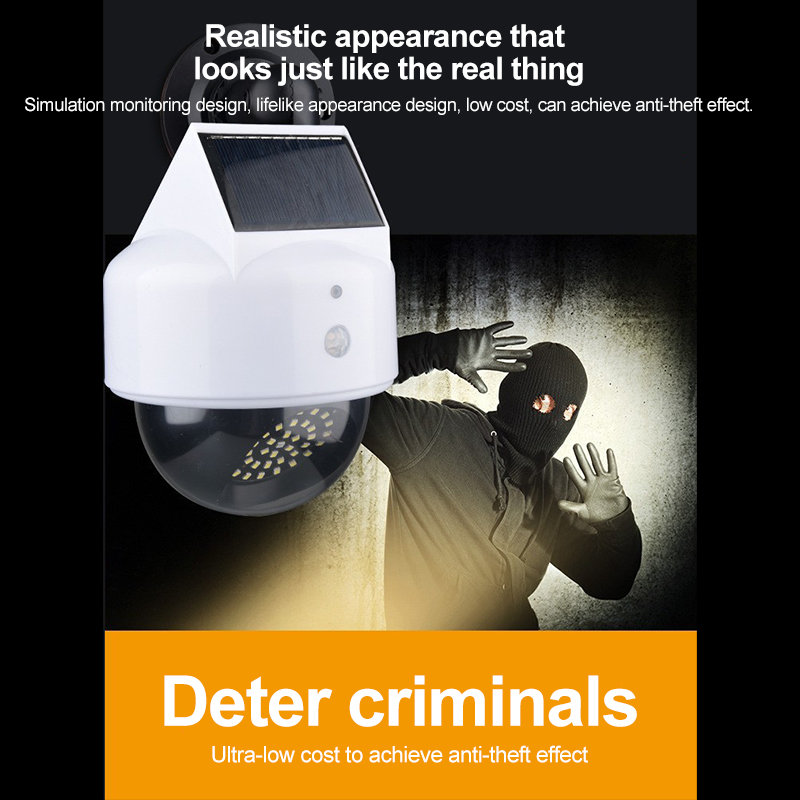كاميرا محاكاة شمسية مع مستشعر  - مراجعة Smart Garden Light Camera وسعره